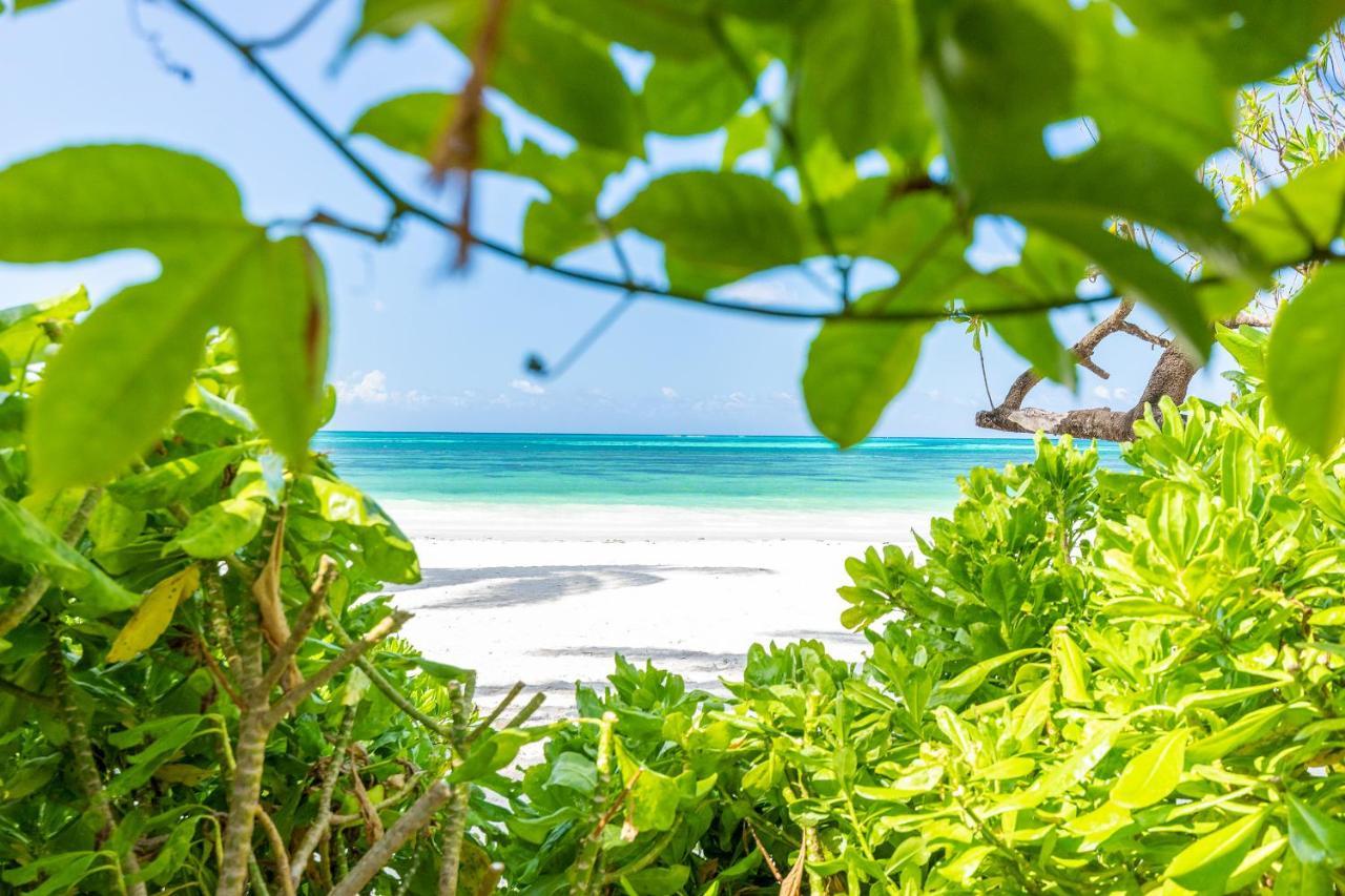 Surfescape Zanzibar Apartment Kiwengwa  Bagian luar foto