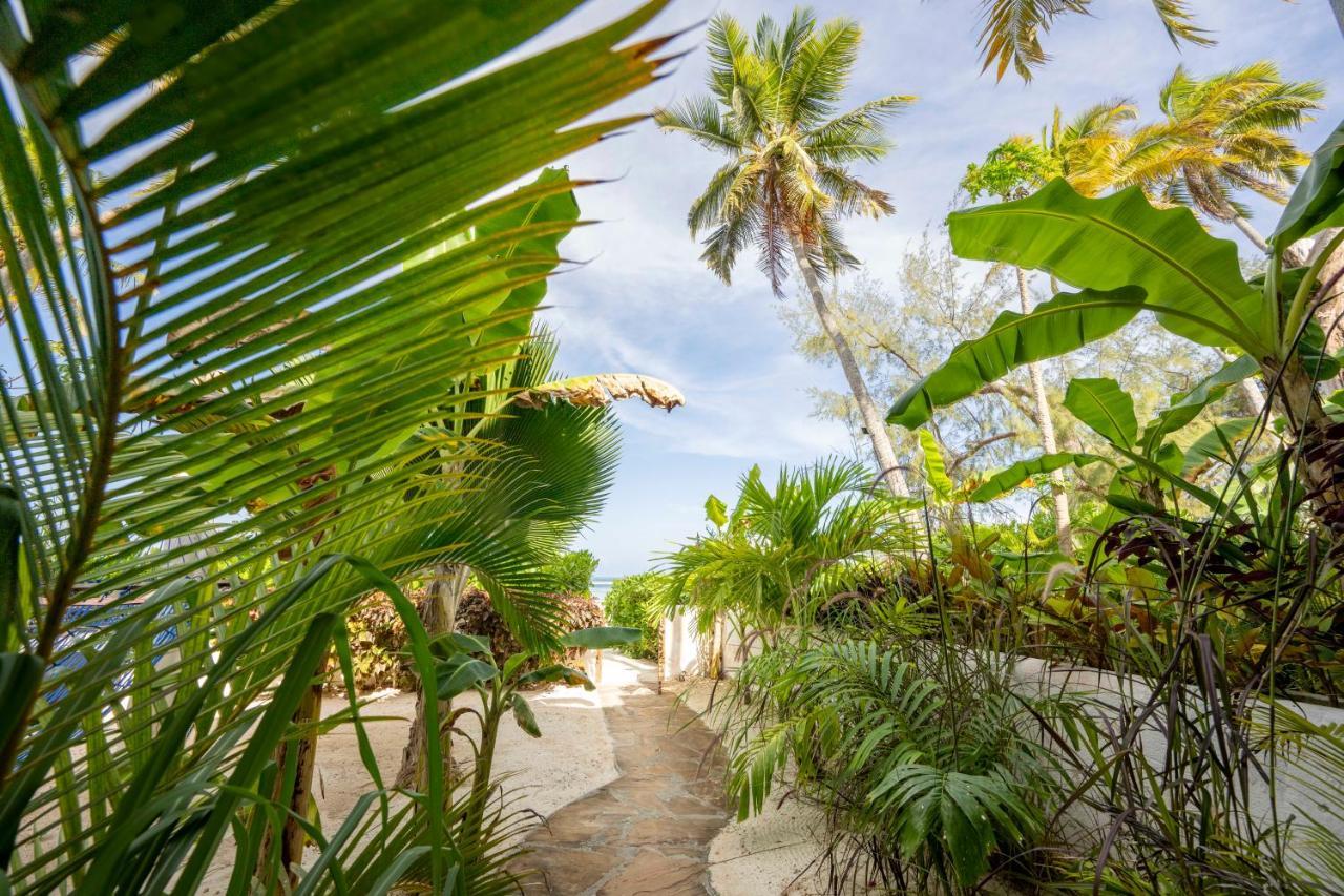 Surfescape Zanzibar Apartment Kiwengwa  Bagian luar foto